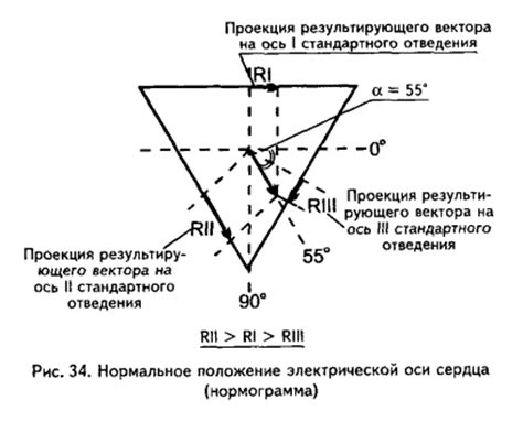 Проверка и корректировка позиции вертикальной оси картофелекопалки