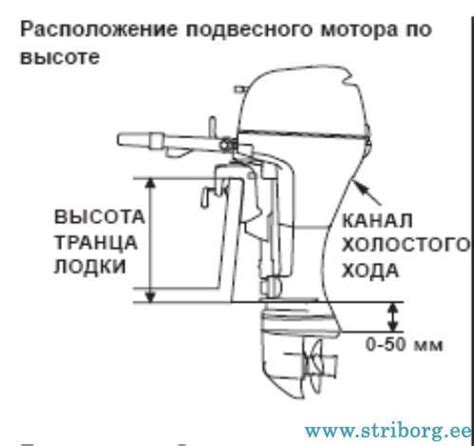 Проверка работы мотора и транца