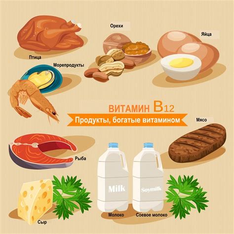 Продукты, богатые витамином В12