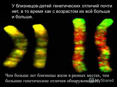 Происхождение генетических отличий