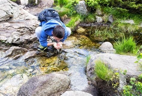 Происхождение родниковой воды и особенности ее состава