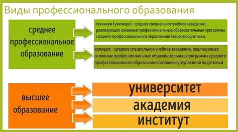 Профессиональное образование и курсы