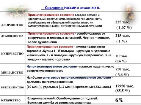 Профессиональные обязанности и привилегии санитарок
