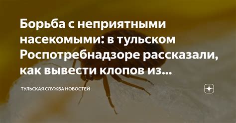 Профилактика: Как избежать заражения неприятными насекомыми