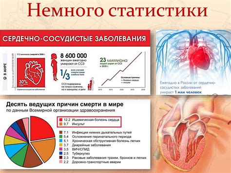 Профилактика заболеваний сердечно-сосудистой системы: важность предупреждения и поддержания оптимального состояния организма