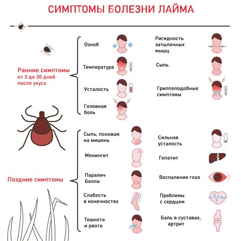 Профилактика клещевого укуса