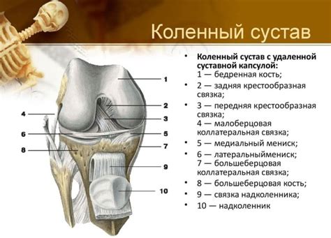 Профилактика наростов в коленном суставе