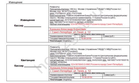 Процедура оплаты государственной пошлины в судебных учреждениях: подробности и особенности