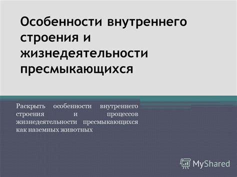 Процессы жизнедеятельности пресмыкающихся: исследование и важность