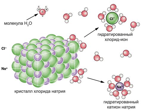 Процесс диссоциации соли в воде