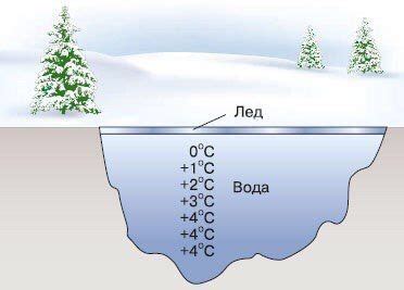 Процесс замерзания воды