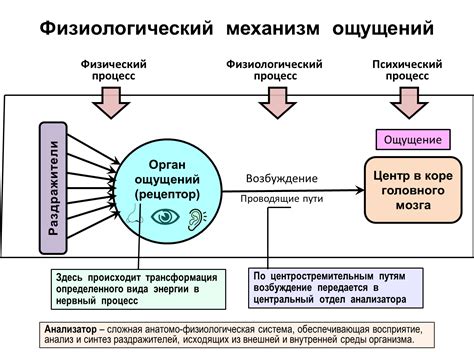 Процесс и механизм