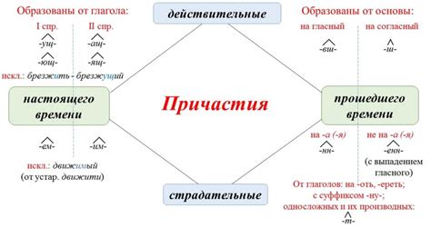 Процесс образования причастий