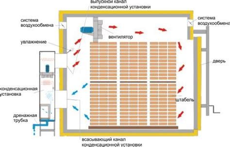 Процесс сушки и обработки