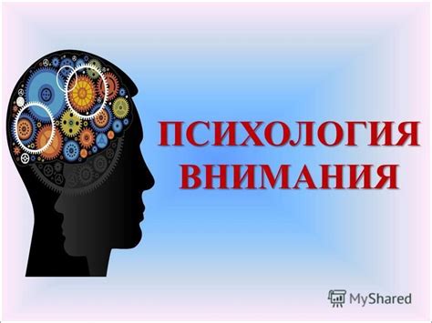 Психология внимания: исследование явления