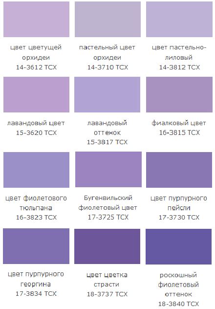 Психология лавандового оттенка