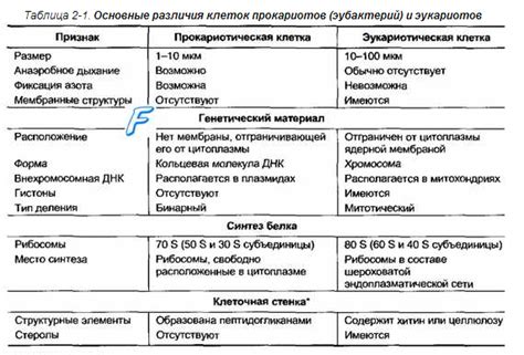 Различия между смектой и эспумизаном