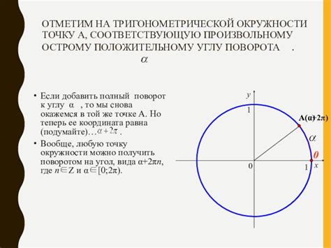 Различные подходы к анализу положения точек на единичной окружности