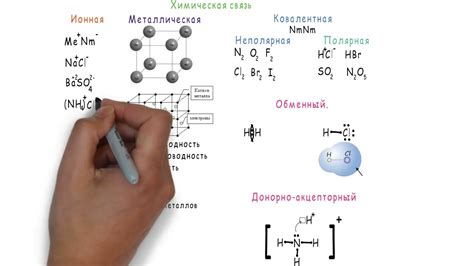 Различные типы птичьей коммуникации