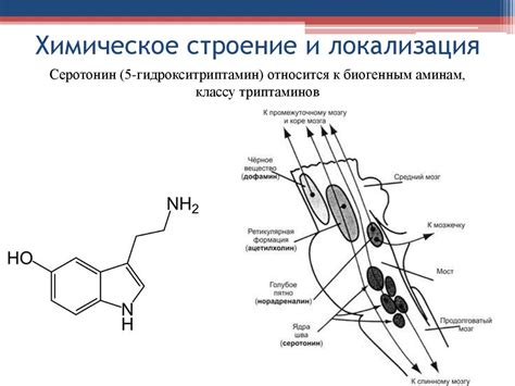 Разнообразие функций