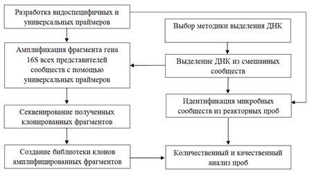 Разнообразные подходы к излечению колонии микроорганизмов во взрослом организме