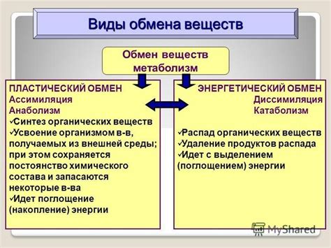 Распад продуктов обмена