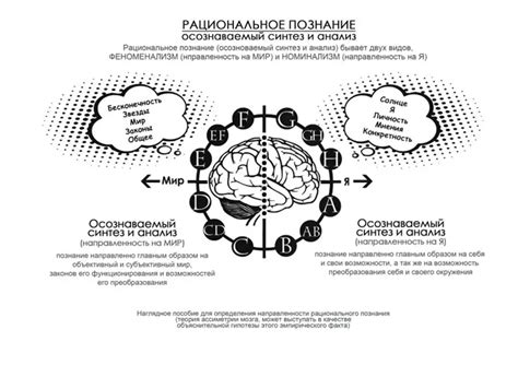 Рациональность и чувства как комлементарные аспекты познания