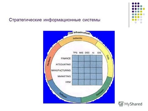 Реакция на внешние воздействия и стрессовые ситуации