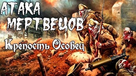 Реальность и героизм бойцов