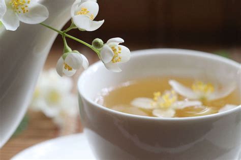 Регулярное употребление зеленого чая и других антиоксидантов