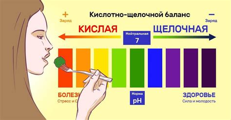 Регуляция кислотно-щелочного баланса