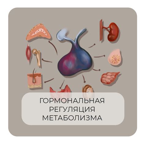 Регуляция метаболизма