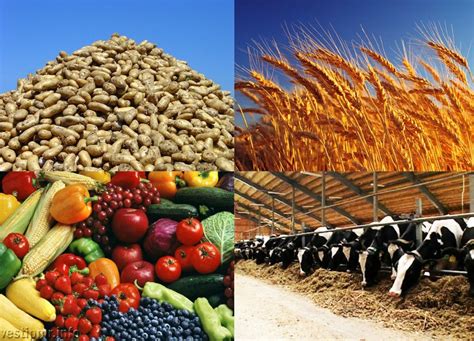 Результативность применения специальных емкостей и определенного количества плодородных веществ для увеличения выхода сельскохозяйственной продукции