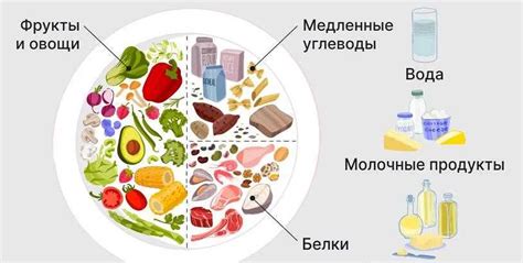 Рекомендации диетологов по употреблению семечек