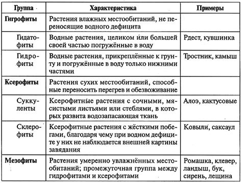 Рекомендации по отношению к сновидениям