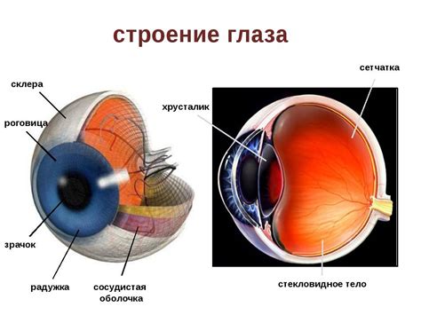 Роговица глаза с пузырьками