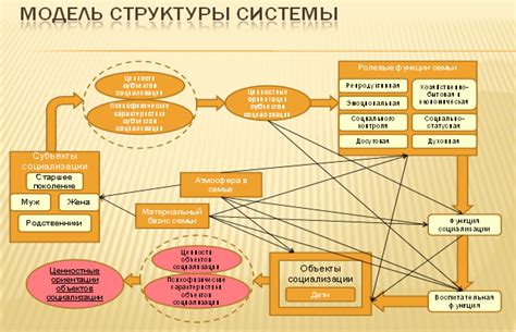 Ролевые модели в процессе развития