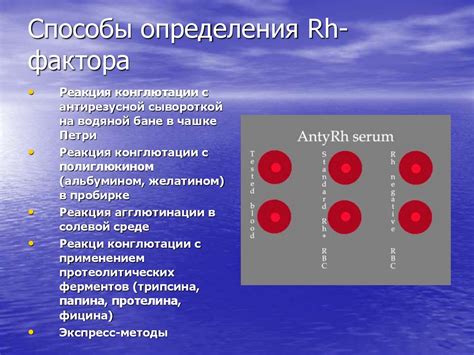 Роль ДНК в определении группы крови