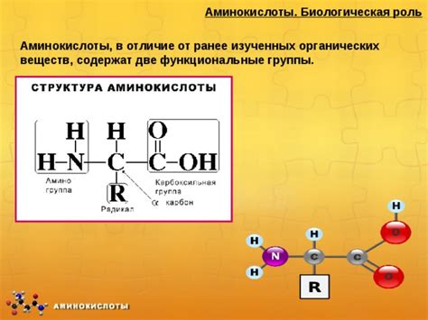 Роль аминокислоты цитруллина