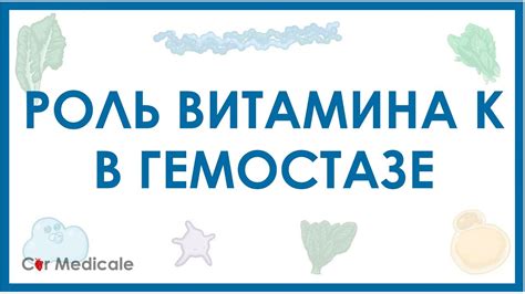 Роль витамина К2 в гемостазе