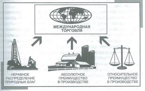 Роль купцов в развитии международной торговли