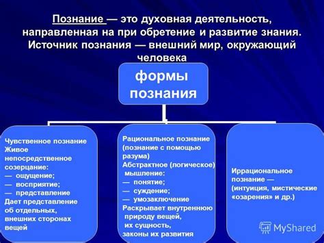 Роль разума в познании человеческой природы