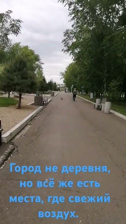 Свежий воздух в городе