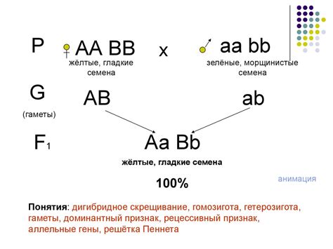 Свойства гетерозиготы