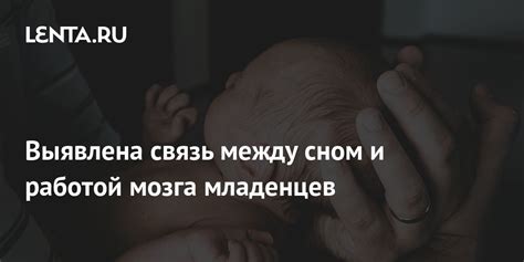 Связь между сном и поведением у беинов: взаимодействие двух ключевых аспектов