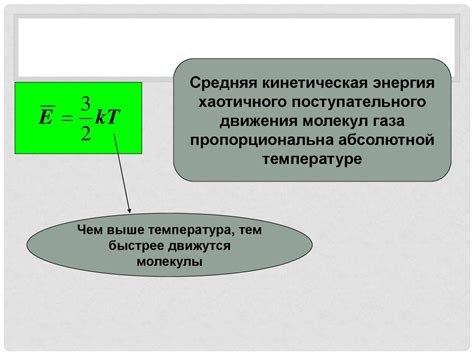 Связь между телосложением и температурой котов