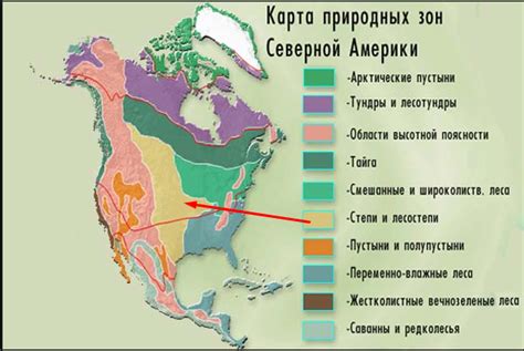 Североамериканские степи: необъятные просторы для рыжих хищников