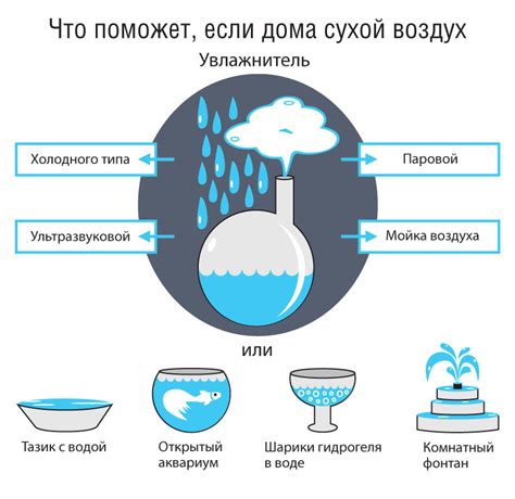 Секреты баланса влажности в квартире