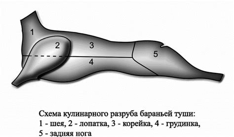 Секреты достижения оптимальной температуры и продолжительности грилирования мяса кролика