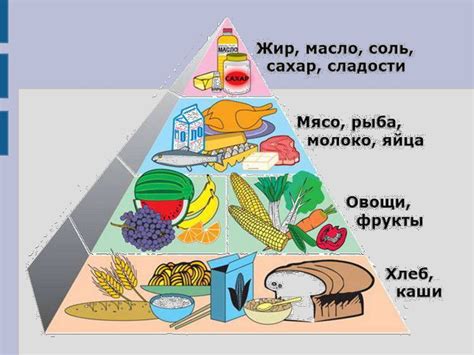 Секреты здорового питания: углеводы в правильной диете